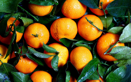 1129687 (a): :2560x1600